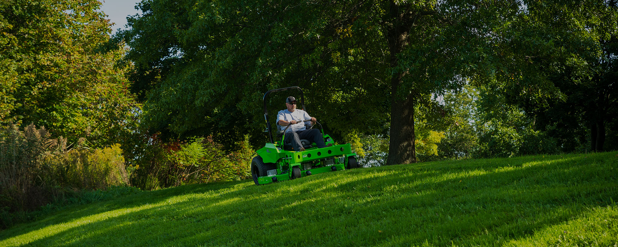 EVO | Mean Green Products